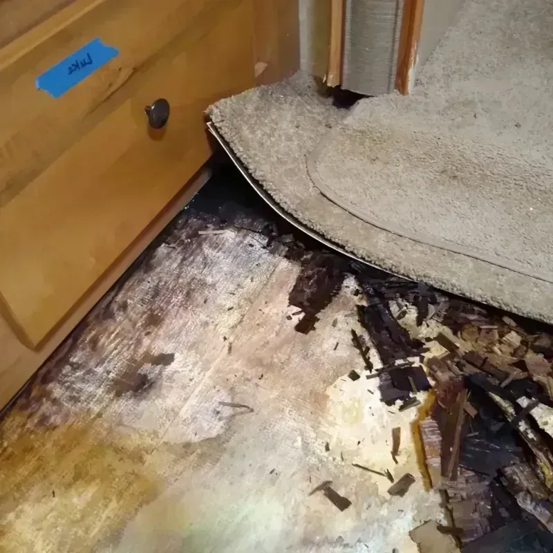 Best Wood Floor Water Damage Service in Fort Myers Beach, FL